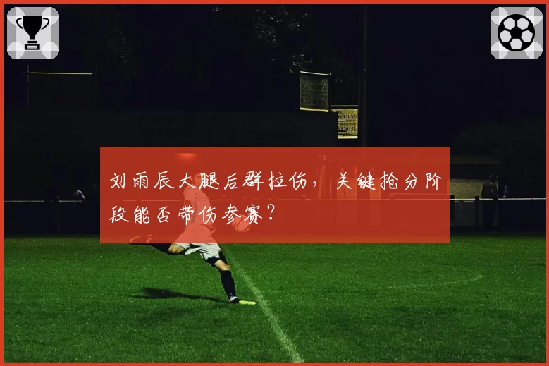 刘雨辰大腿后群拉伤，关键抢分阶段能否带伤参赛？