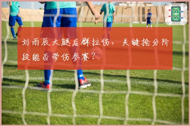 刘雨辰大腿后群拉伤，关键抢分阶段能否带伤参赛？
