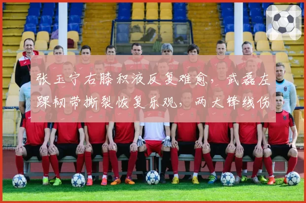 张玉宁右膝积液反复难愈，武磊左踝韧带撕裂恢复乐观，两大锋线伤情对比