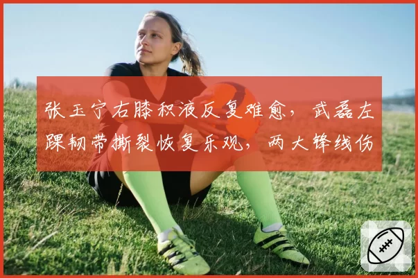 张玉宁右膝积液反复难愈，武磊左踝韧带撕裂恢复乐观，两大锋线伤情对比