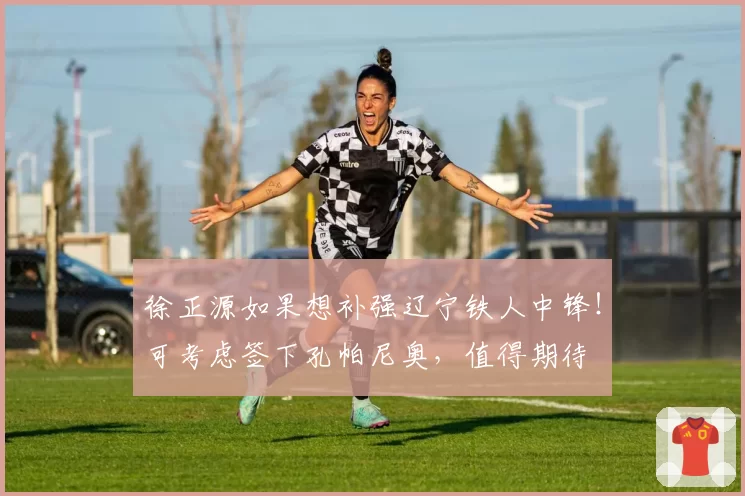 徐正源如果想补强辽宁铁人中锋！可考虑签下孔帕尼奥，值得期待