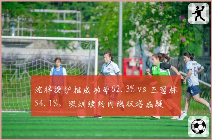 沈梓捷护框成功率62.3% vs 王哲林54.1%，深圳续约内线双塔成疑